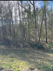 0 Village Loop, Petal, MS 39465