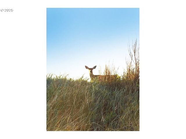 31405 J Pl, Ocean Park, WA 98640