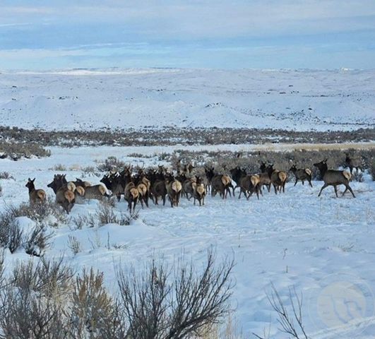 95 Mill Draw Overlook, Belfry, MT 59008