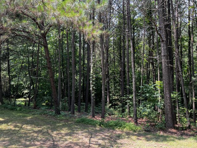 25 W Adkins Ln, Lawrenceburg, TN 38464
