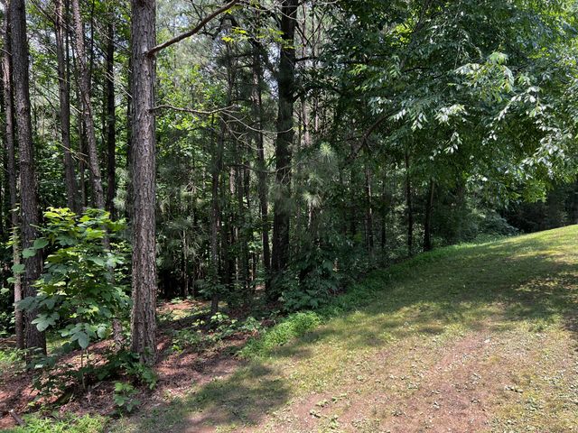 25 W Adkins Ln, Lawrenceburg, TN 38464