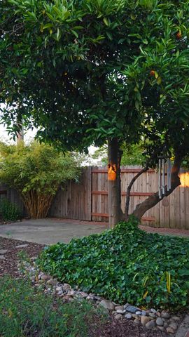 1719 W Locust St, Lodi, CA 95242
