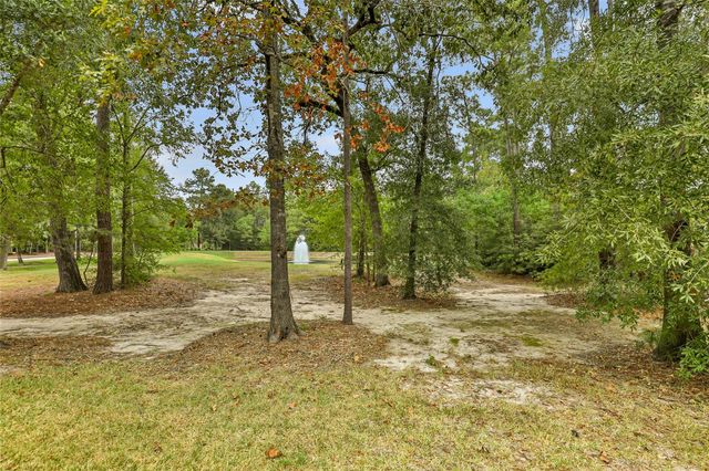 20730 Fawn Timber Trail, Humble, TX 77346