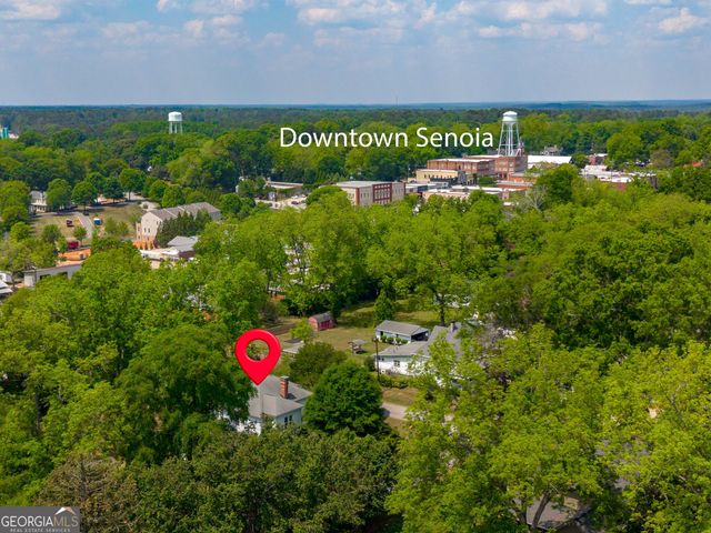 187 Morgan Street, Senoia, GA 30276