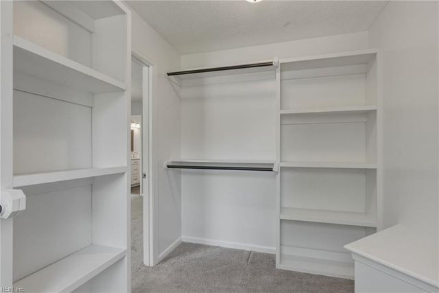 3100 Maplewood PL, Williamsburg, VA 23185