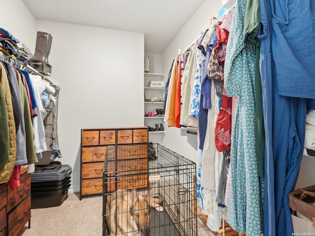 11438 STICHTER PATH, San Antonio, TX 78245