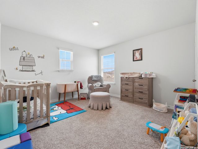 11438 STICHTER PATH, San Antonio, TX 78245