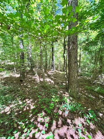012 Sc - 413 Highway, Anderson, SC 29621