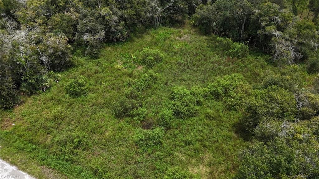 1212 McArthur AVE, LEHIGH ACRES, FL 33972 — photo 3