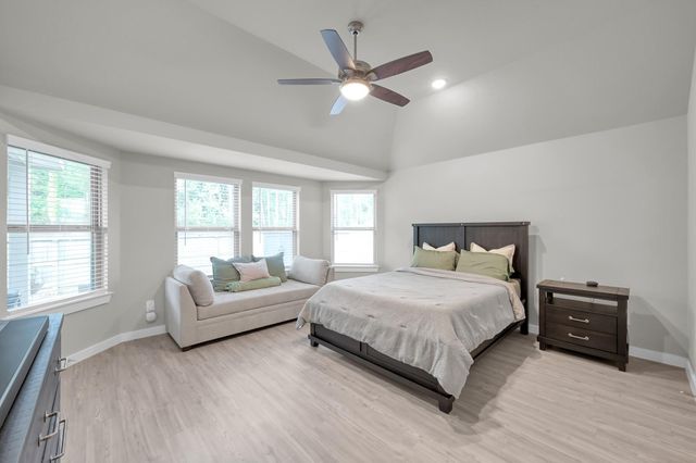 22195 Birchfield Grove Lane, New Caney, TX 77357