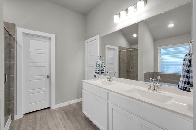 22195 Birchfield Grove Lane, New Caney, TX 77357