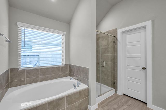 22195 Birchfield Grove Lane, New Caney, TX 77357