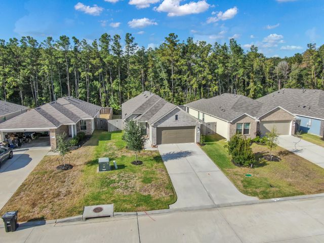 22195 Birchfield Grove Lane, New Caney, TX 77357