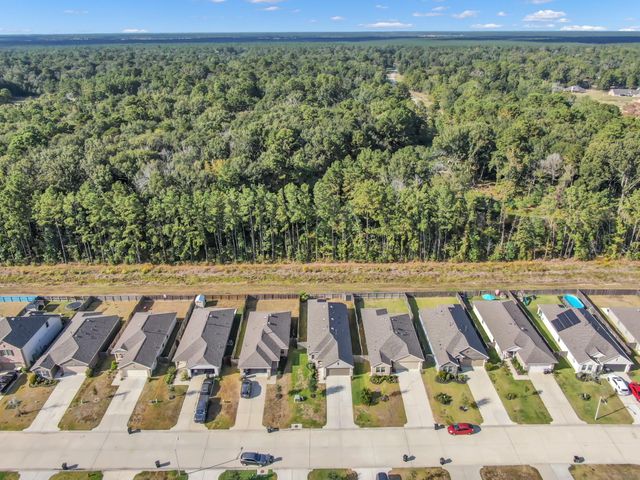 22195 Birchfield Grove Lane, New Caney, TX 77357