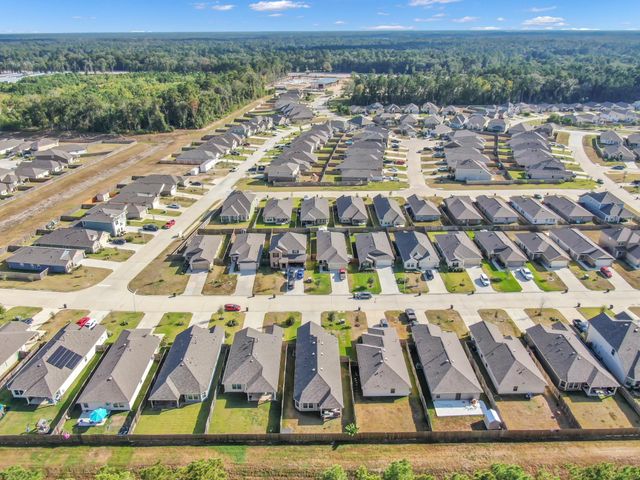 22195 Birchfield Grove Lane, New Caney, TX 77357