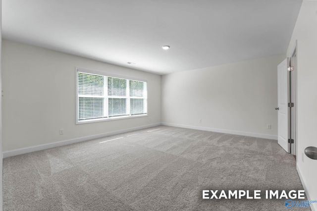 14088 Hazel Meadow Drive, Athens, AL 35611