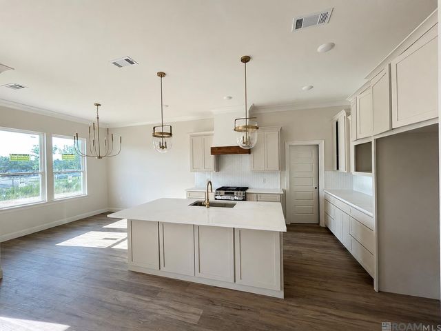 29433 Northlake Drive, Denham Springs, LA 70726