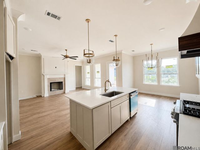 29433 Northlake Drive, Denham Springs, LA 70726