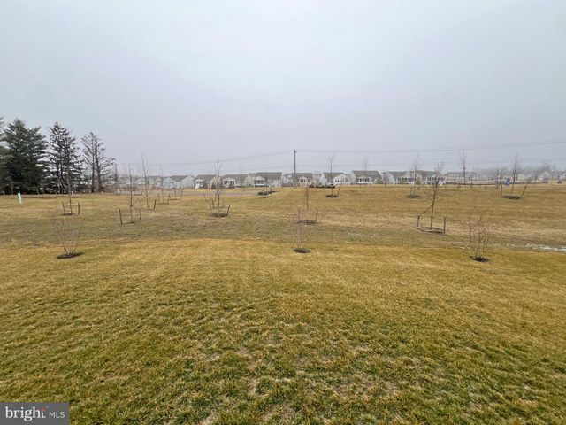 114 AUSTRIAN PINE CT, Middletown, DE 19709