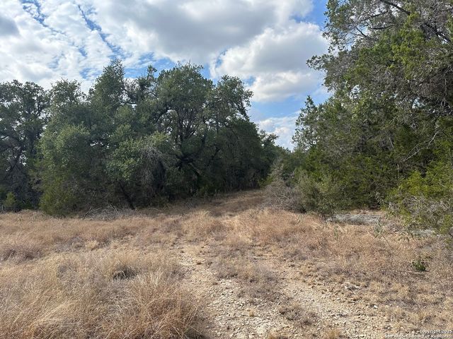 959 Serene Park, Spring Branch, TX 78070