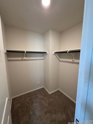 15730 Smoky Honeyeater, San Antonio, TX 78253