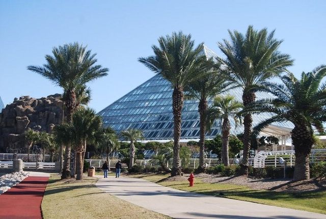 3506 Cove View Boulevard 908, Galveston, TX 77554