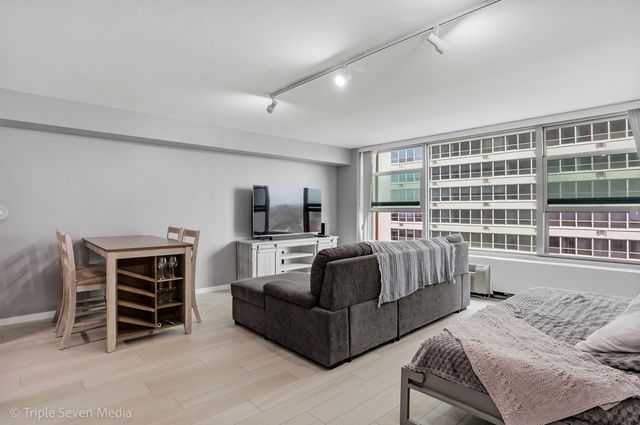 3600 N Lake Shore Drive 709, Chicago, IL 60613