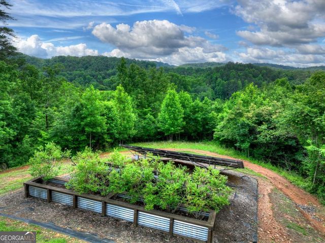 328 Arapaho Walk, Mineral Bluff, GA 30559