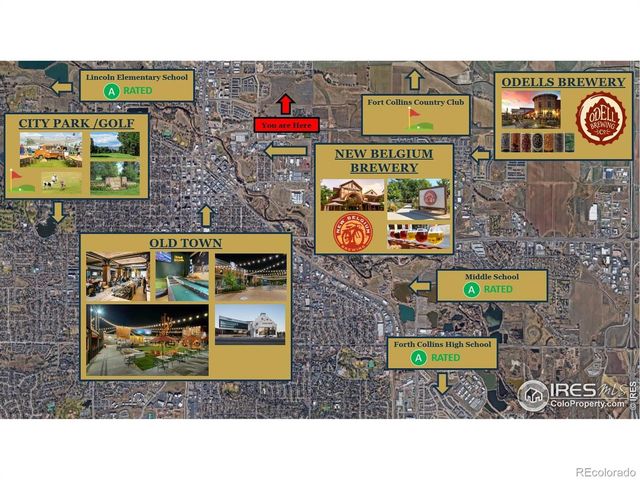 1003 Schlagel Street 6, Fort Collins, CO 80524