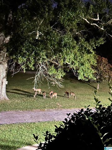 3755 COUNTY ROAD 331, Columbiana, AL 35051