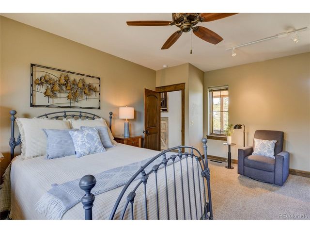 30177 Princeton Hls, Buena Vista, CO 81211