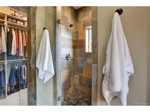 30177 Princeton Hls, Buena Vista, CO 81211