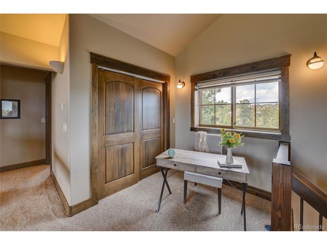 30177 Princeton Hls, Buena Vista, CO 81211