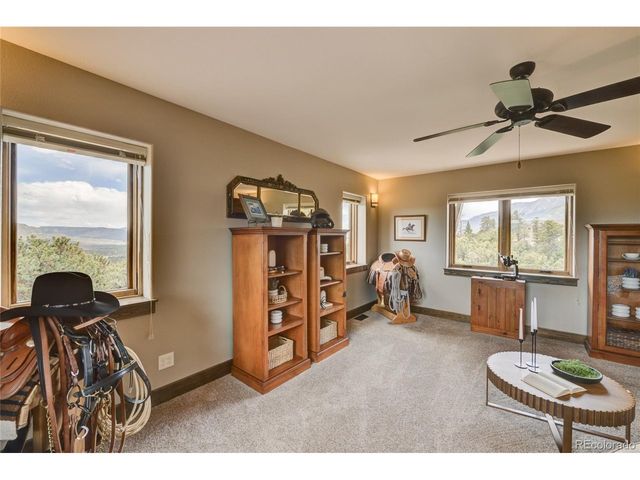 30177 Princeton Hls, Buena Vista, CO 81211