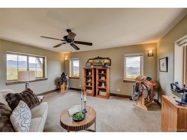 30177 Princeton Hls, Buena Vista, CO 81211