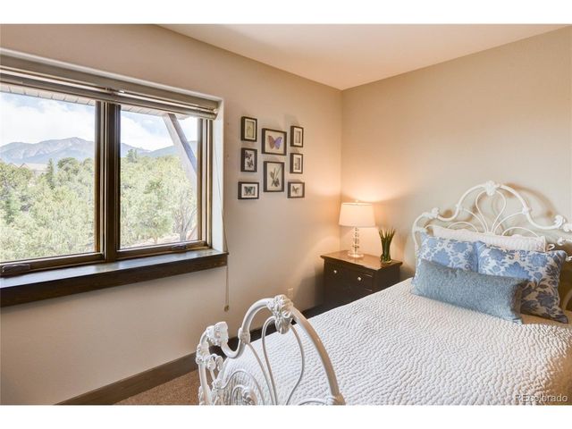 30177 Princeton Hls, Buena Vista, CO 81211