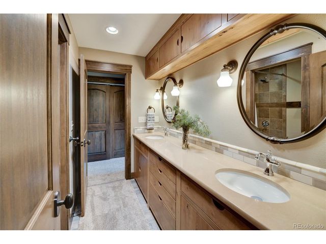 30177 Princeton Hls, Buena Vista, CO 81211