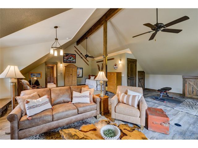 30177 Princeton Hls, Buena Vista, CO 81211