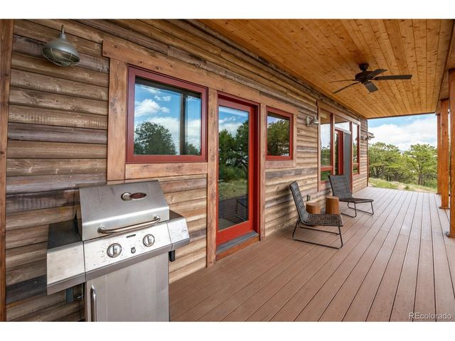 30177 Princeton Hls, Buena Vista, CO 81211