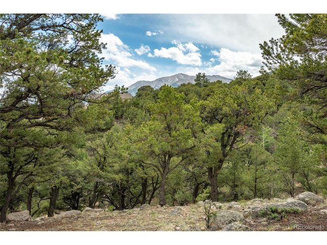 30177 Princeton Hls, Buena Vista, CO 81211