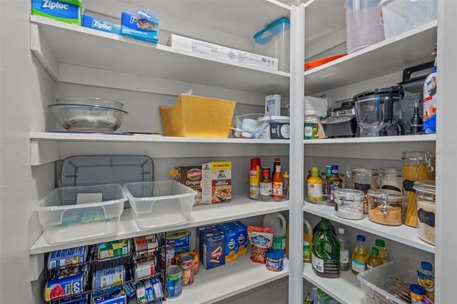 2836 SATILLA LOOP, Odessa, FL 33556