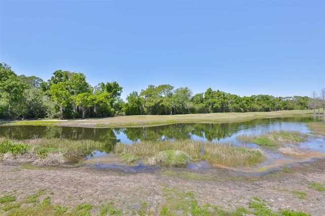 2423 RICHMOND GREENS COURT, Sun City Center, FL 33573