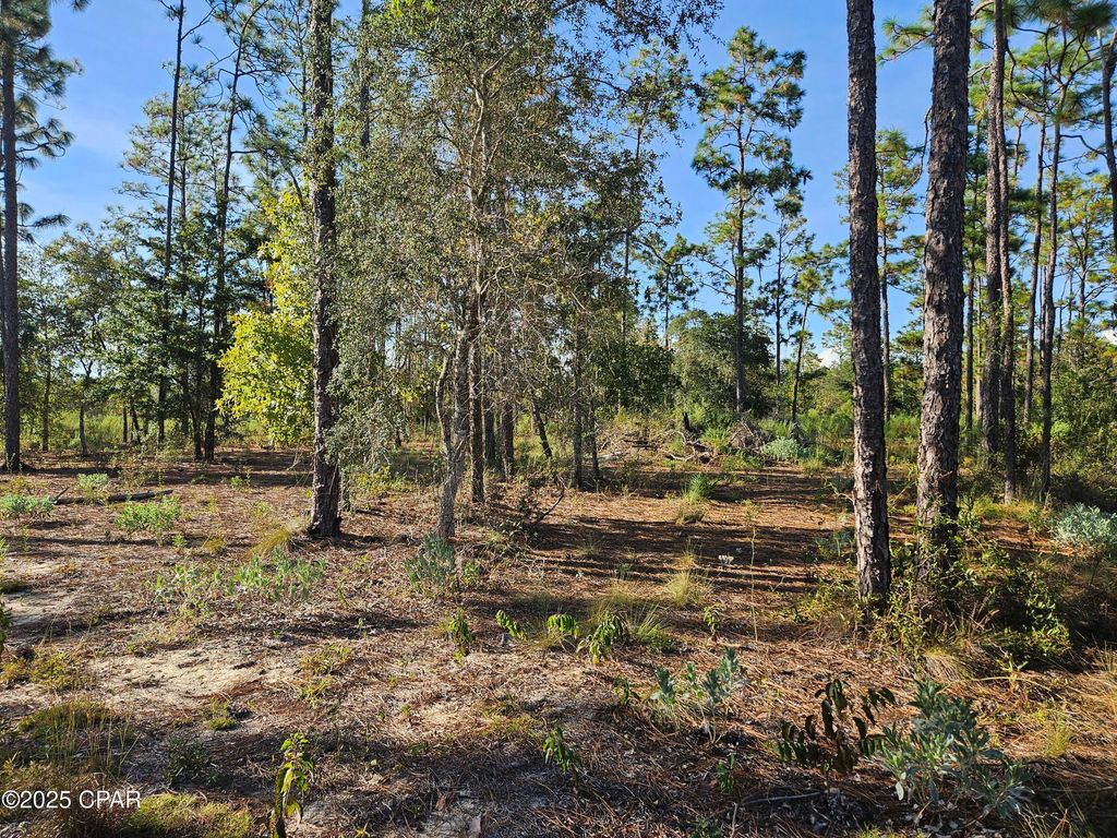 B-272 Springer Drive, Chipley, FL 32428