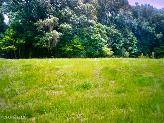 Chestnut Hill Road, Flora, MS 39071