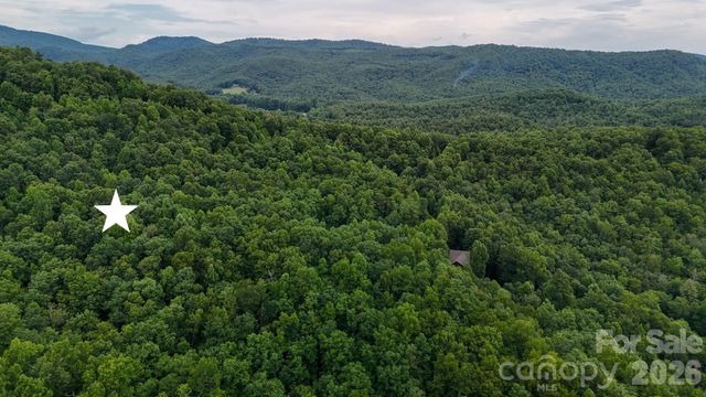 364 Big Bear Trail 24, Zirconia, NC 28790
