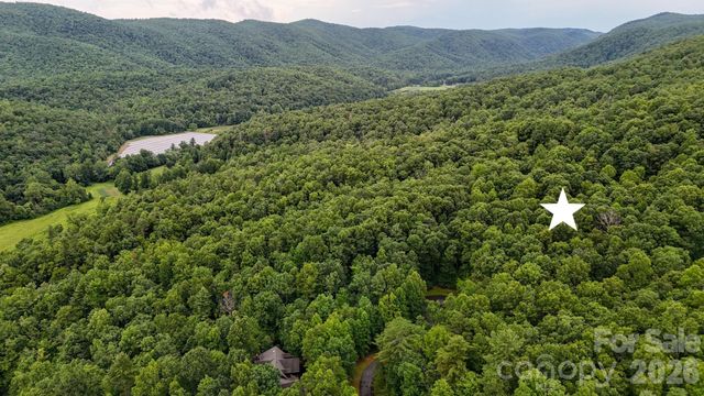364 Big Bear Trail 24, Zirconia, NC 28790