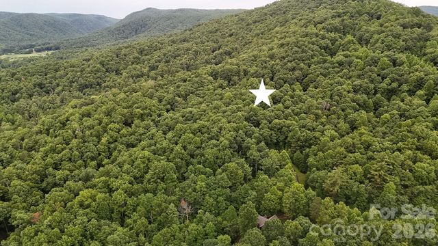364 Big Bear Trail 24, Zirconia, NC 28790