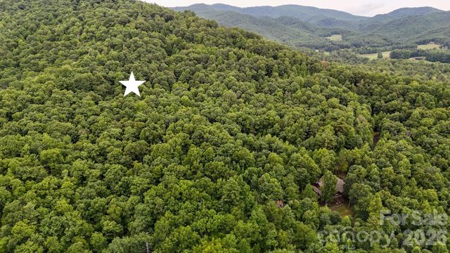 364 Big Bear Trail 24, Zirconia, NC 28790