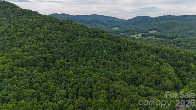 364 Big Bear Trail 24, Zirconia, NC 28790