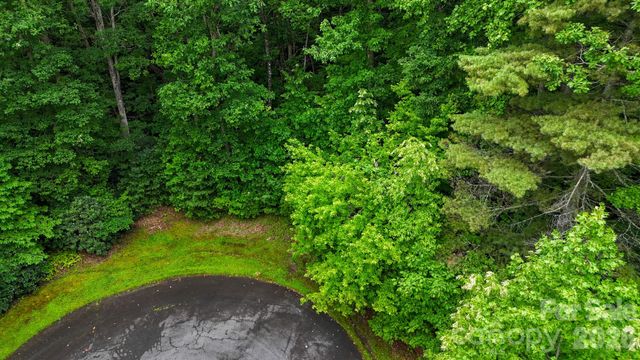 364 Big Bear Trail 24, Zirconia, NC 28790